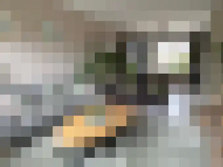 van Twickelolaan 98 Coevorden thumbnail 4