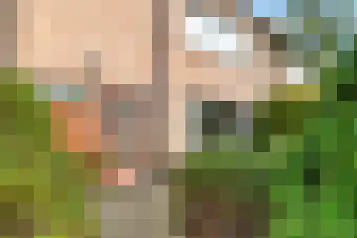 Van Twillerstraat 8 Nijkerk thumbnail 5