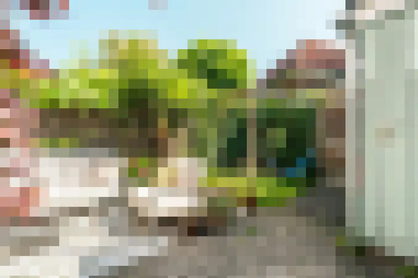 Van Twiskplein 3 Haarlem thumbnail 18