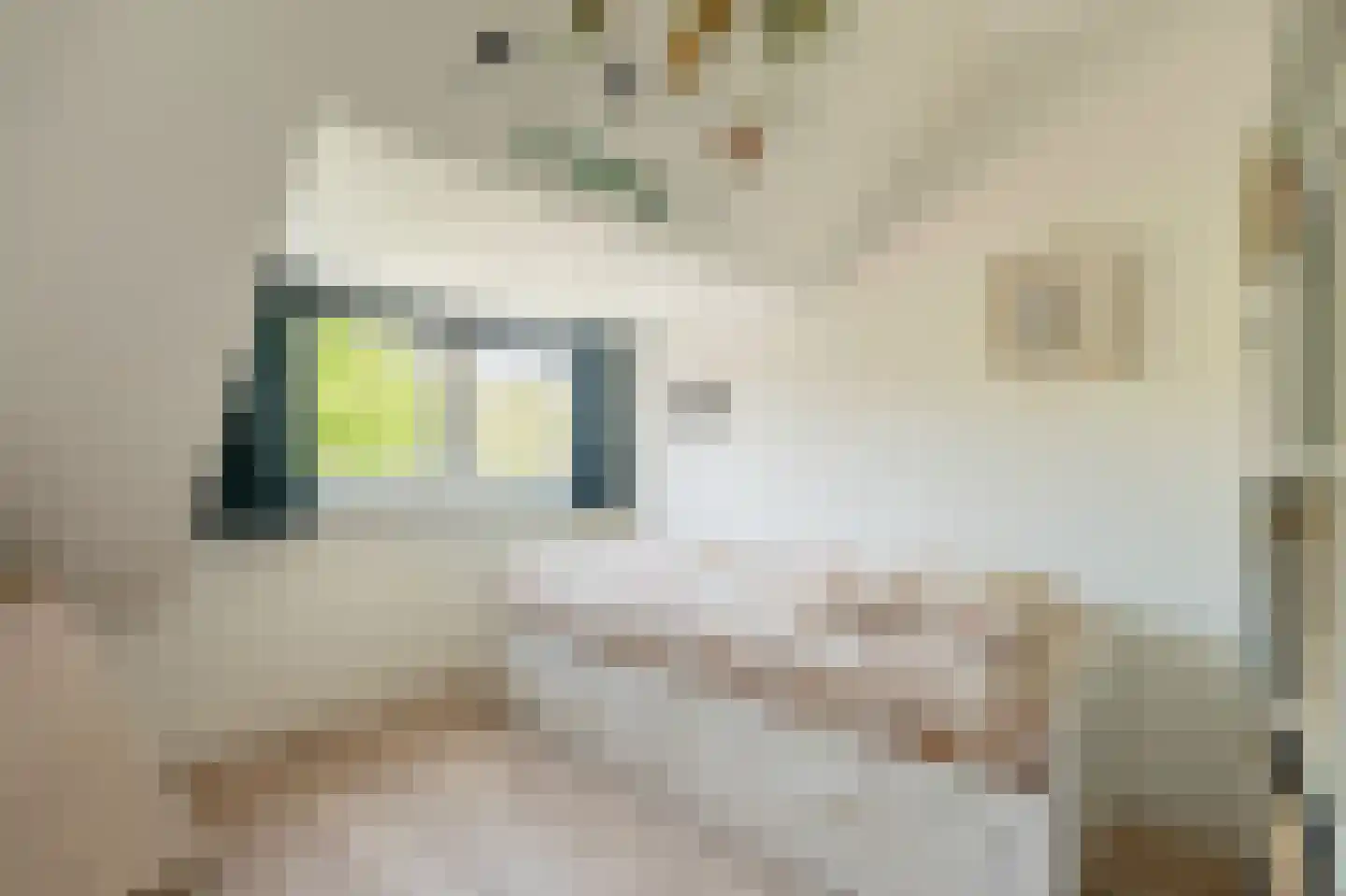 Van Twiskplein 3 Haarlem thumbnail 32
