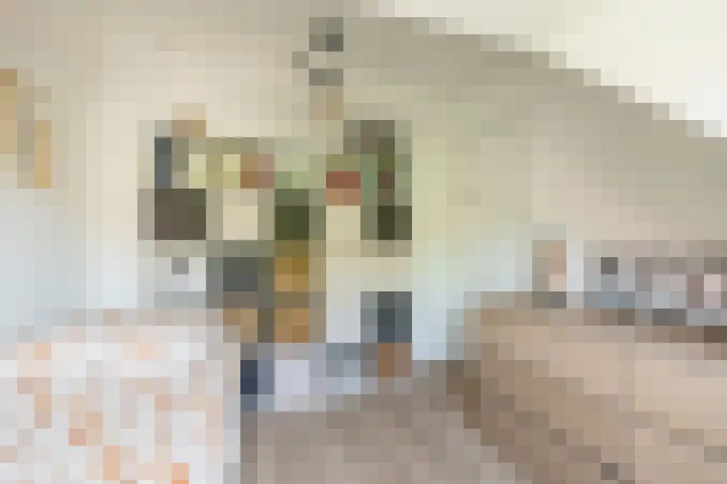 Van Twiskplein 3 Haarlem thumbnail 33