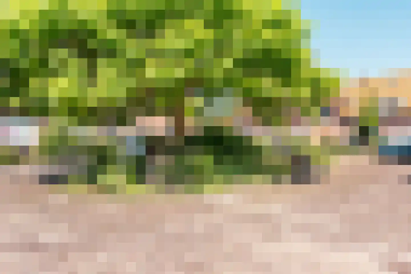 Van Twiskplein 3 Haarlem thumbnail 34