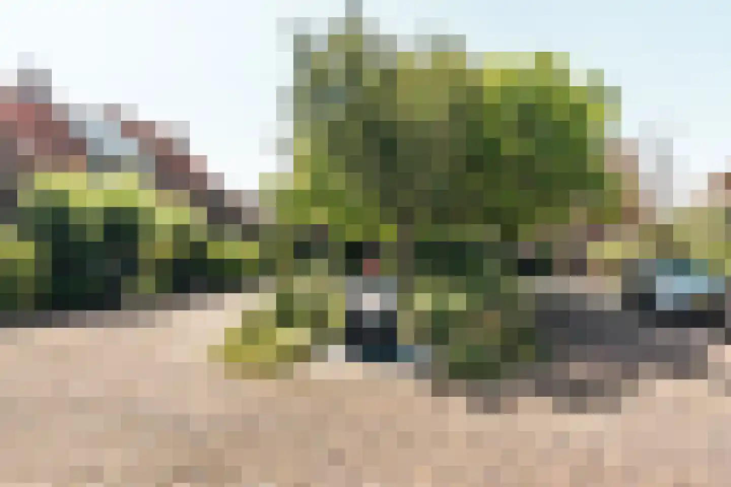 Van Twiskplein 3 Haarlem thumbnail 35