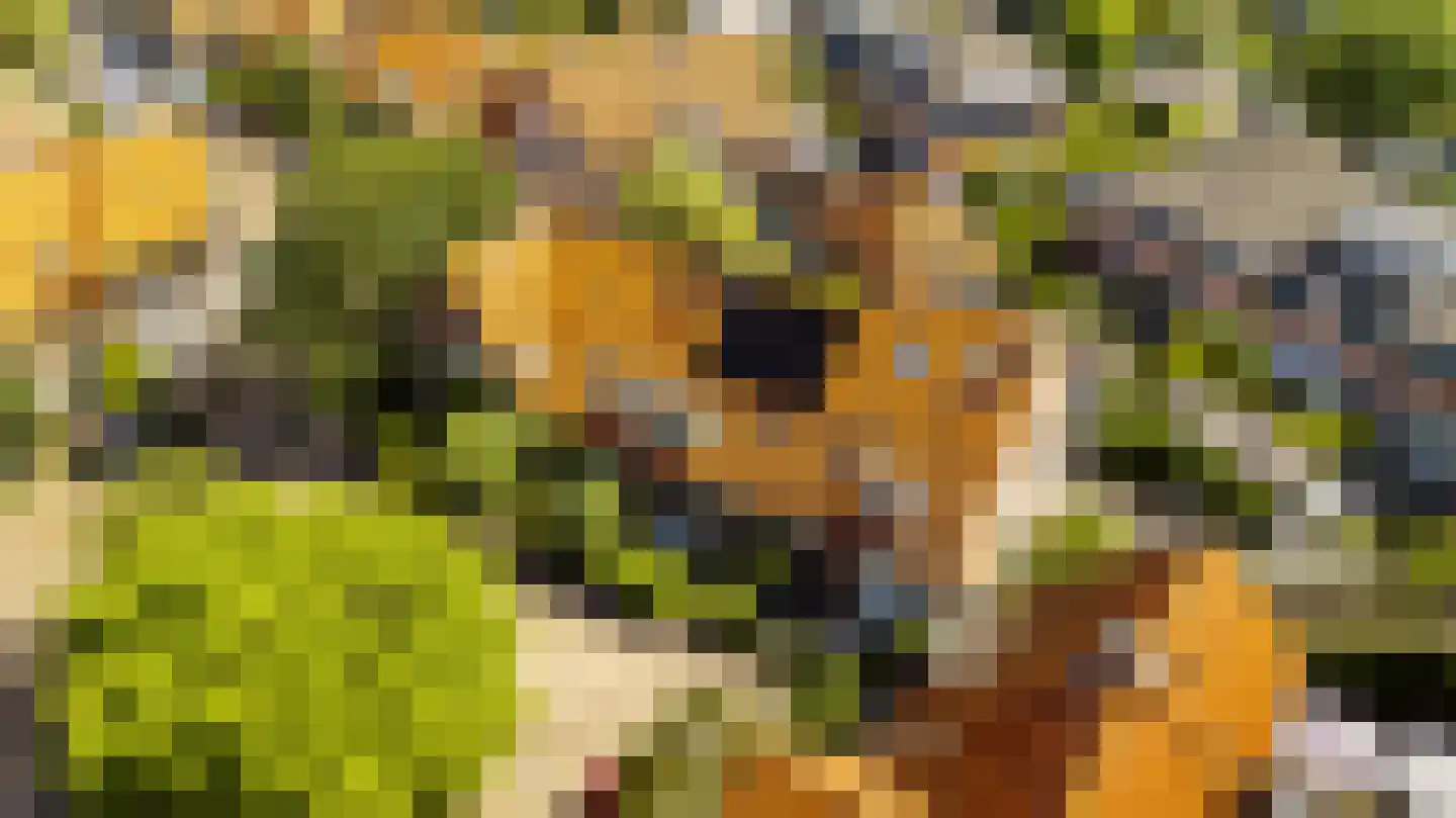 Van Twiskplein 3 Haarlem thumbnail 36