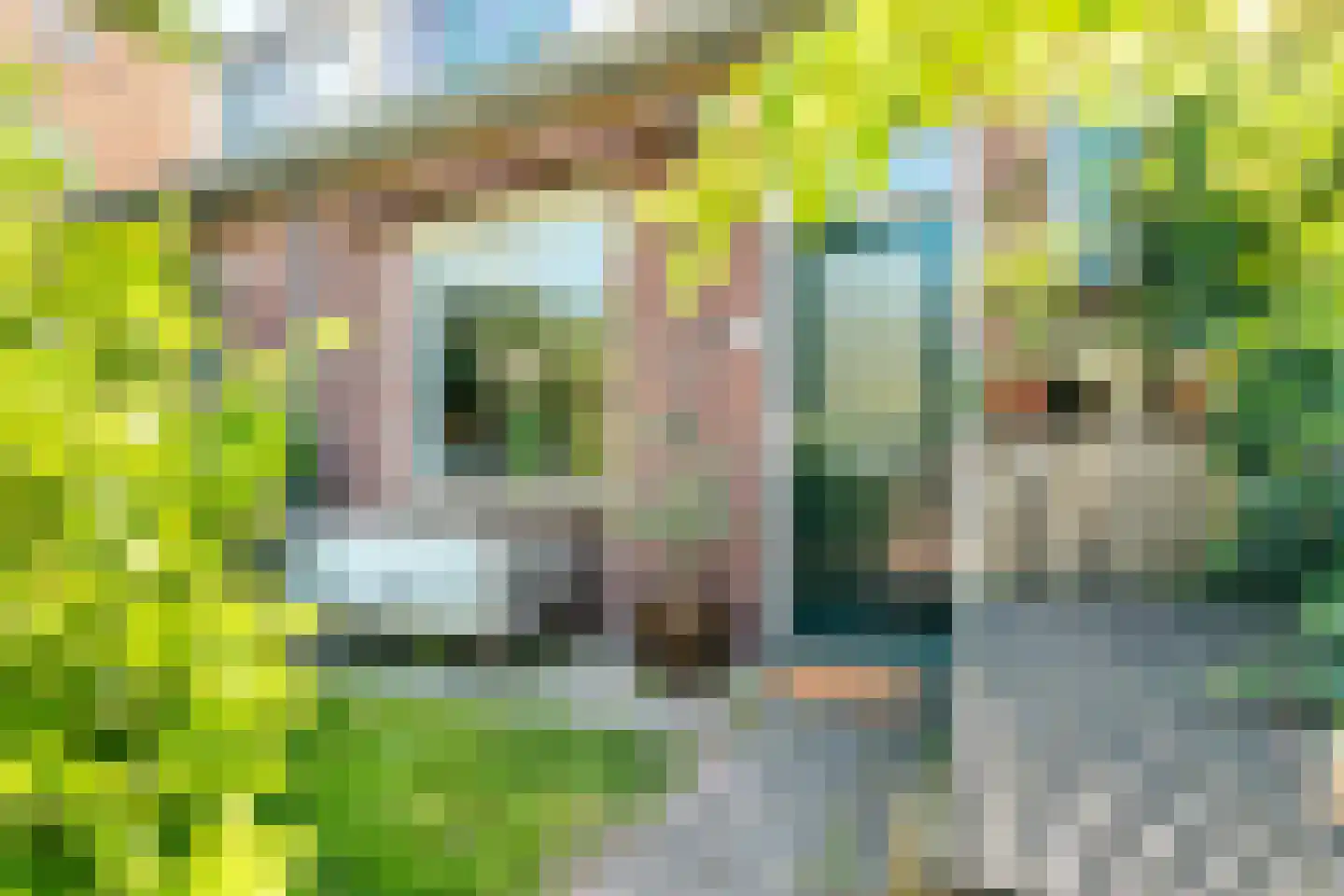 Van Twiskplein 3 Haarlem thumbnail 8