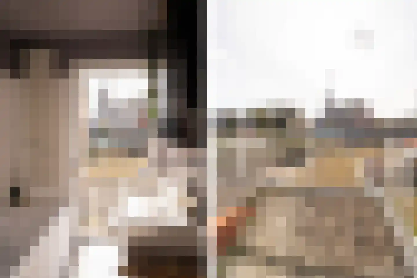Van Twiskplein 8 Haarlem thumbnail 102