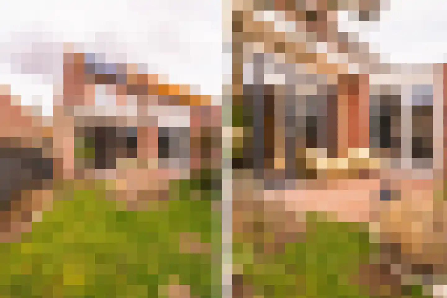 Van Twiskplein 8 Haarlem thumbnail 110