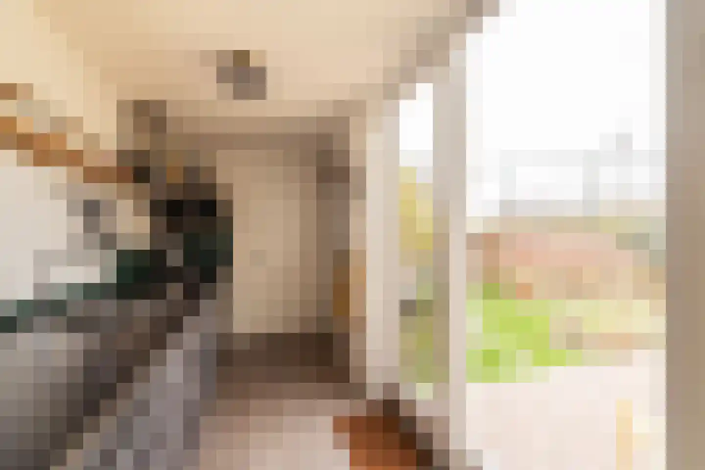Van Twiskplein 8 Haarlem thumbnail 12