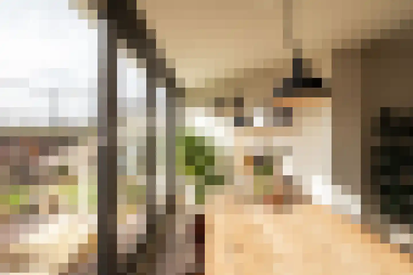 Van Twiskplein 8 Haarlem thumbnail 21
