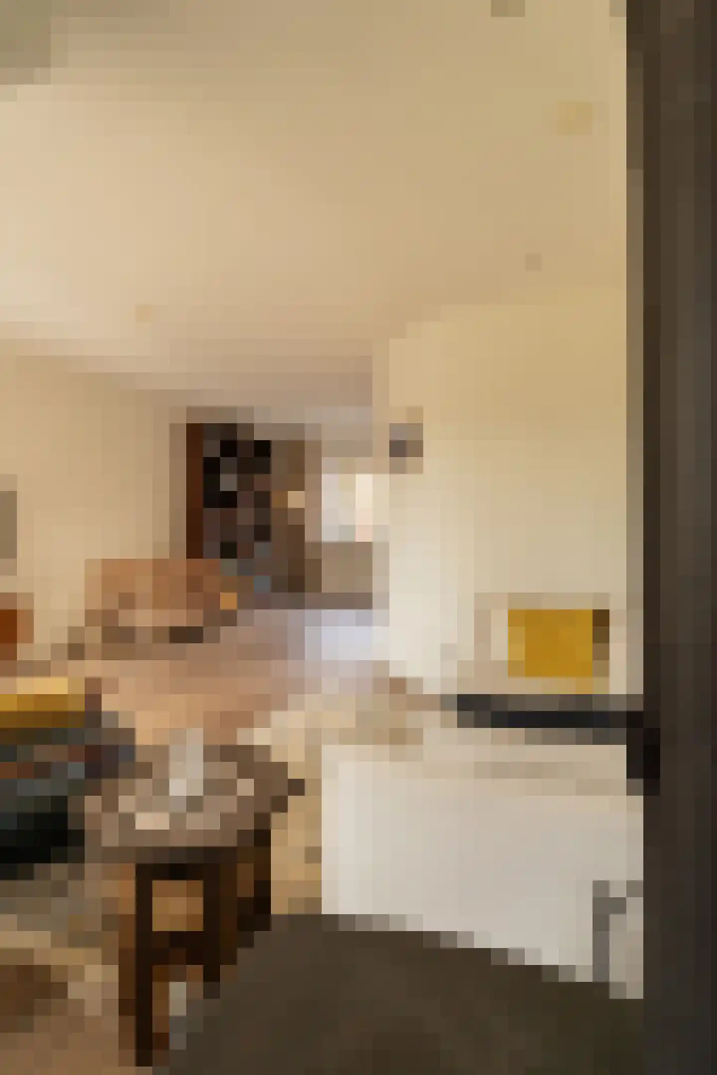 Van Twiskplein 8 Haarlem thumbnail 25