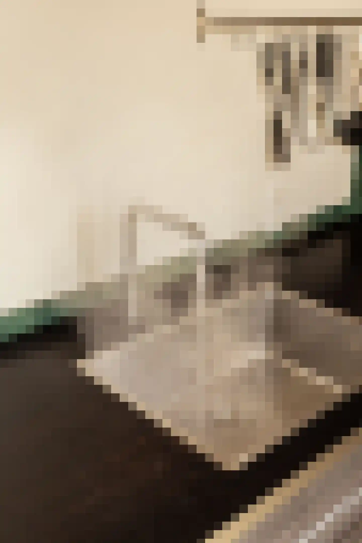 Van Twiskplein 8 Haarlem thumbnail 34