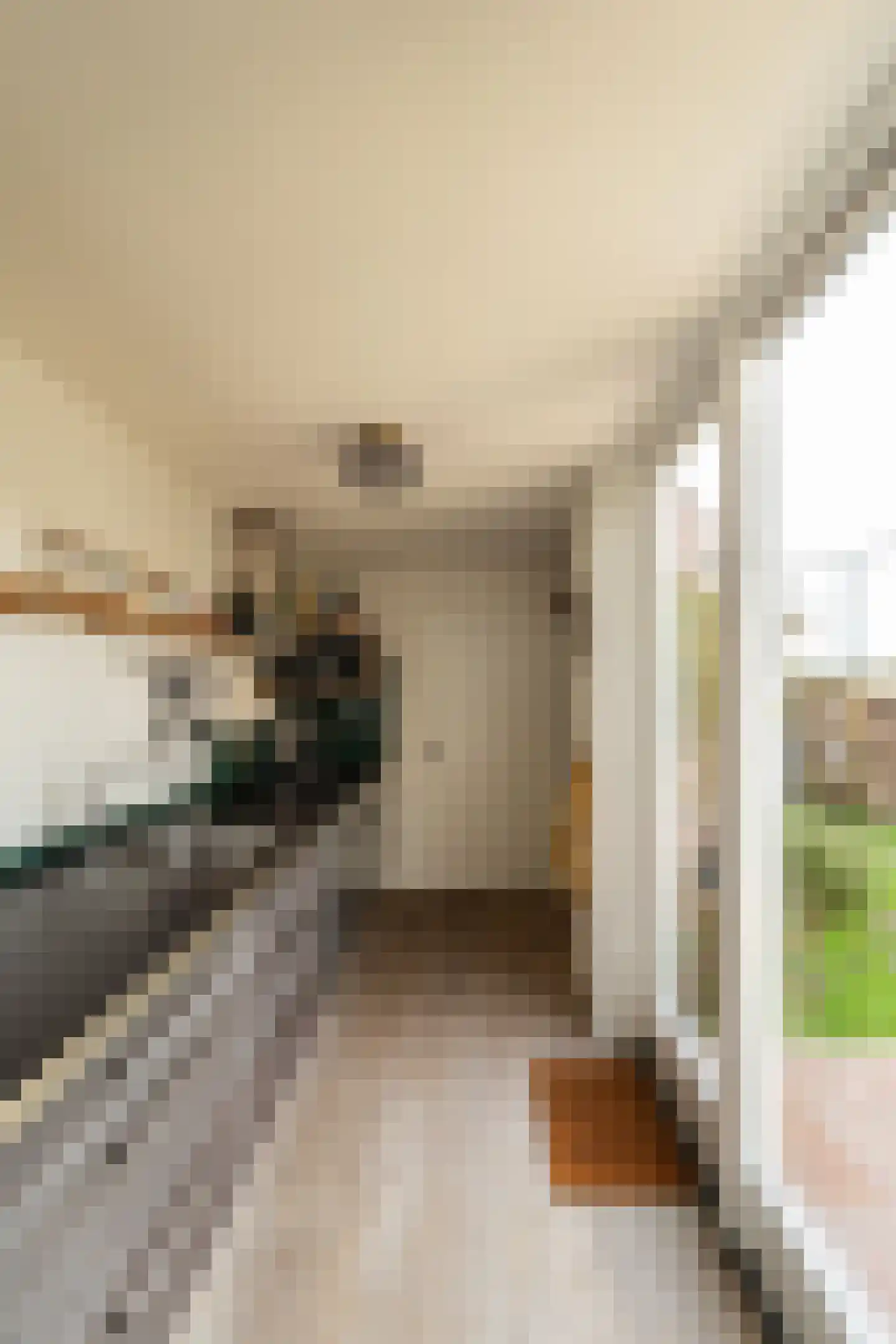 Van Twiskplein 8 Haarlem thumbnail 35