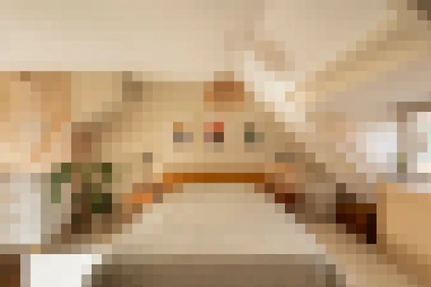 Van Twiskplein 8 Haarlem thumbnail 36