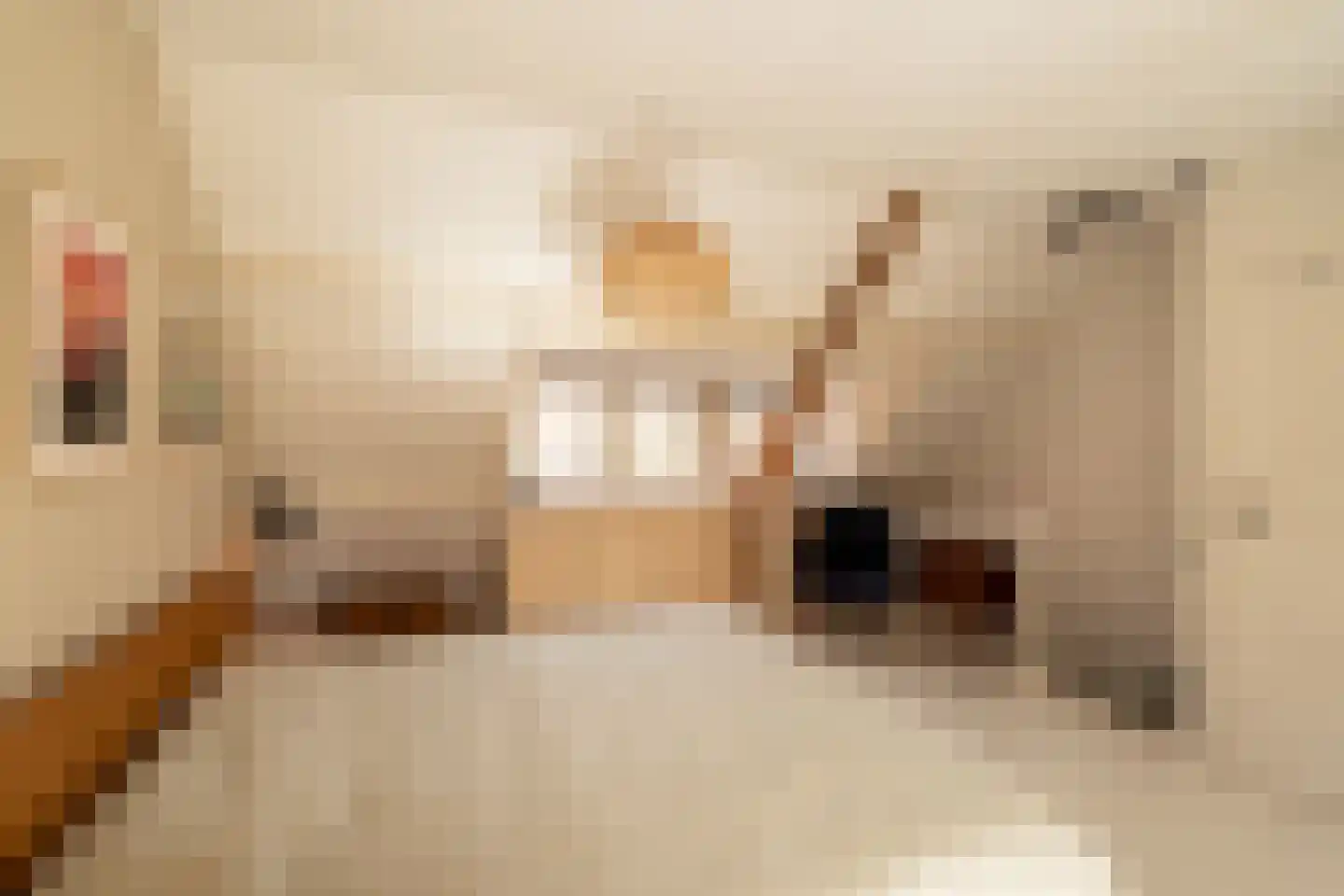 Van Twiskplein 8 Haarlem thumbnail 37