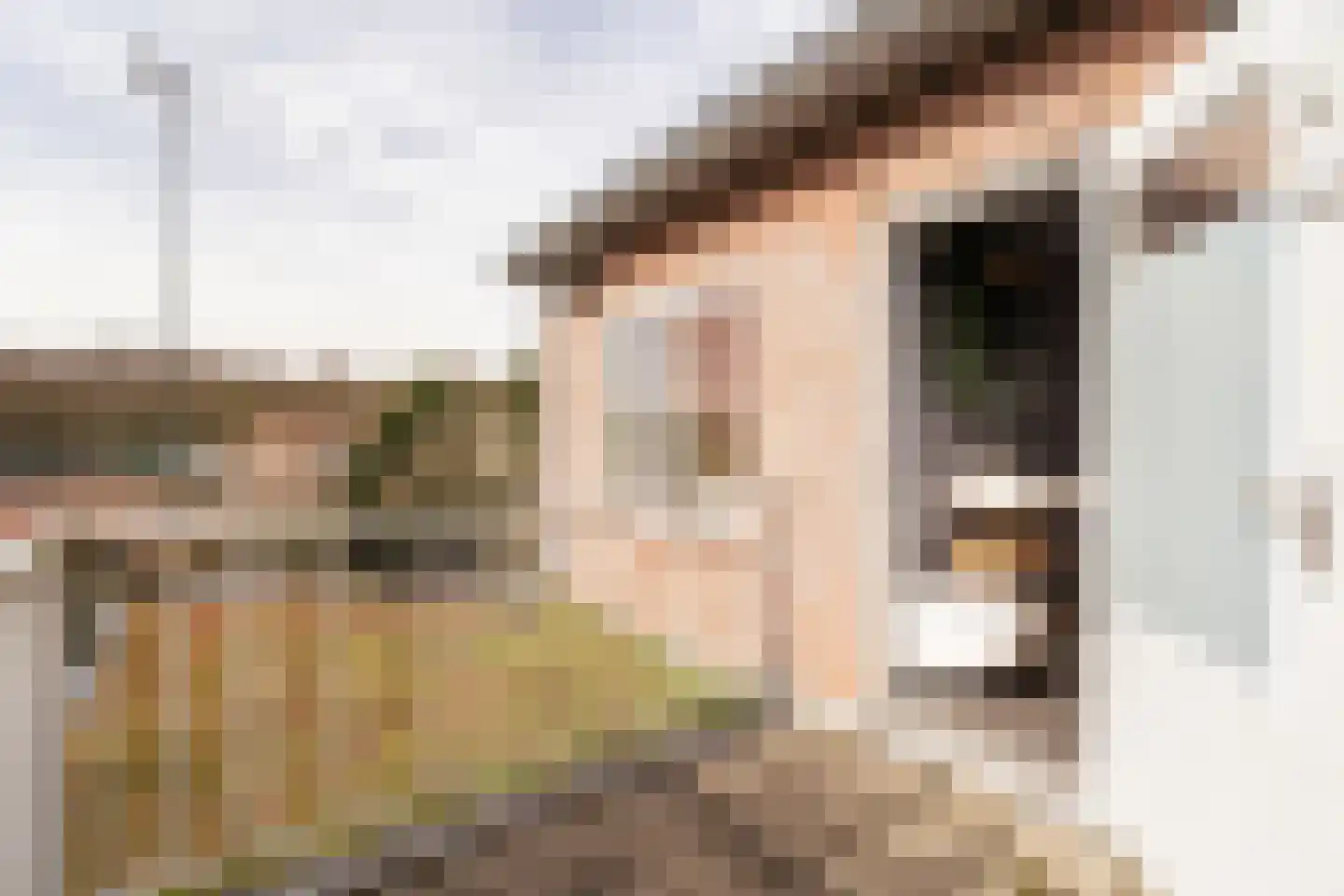 Van Twiskplein 8 Haarlem thumbnail 45