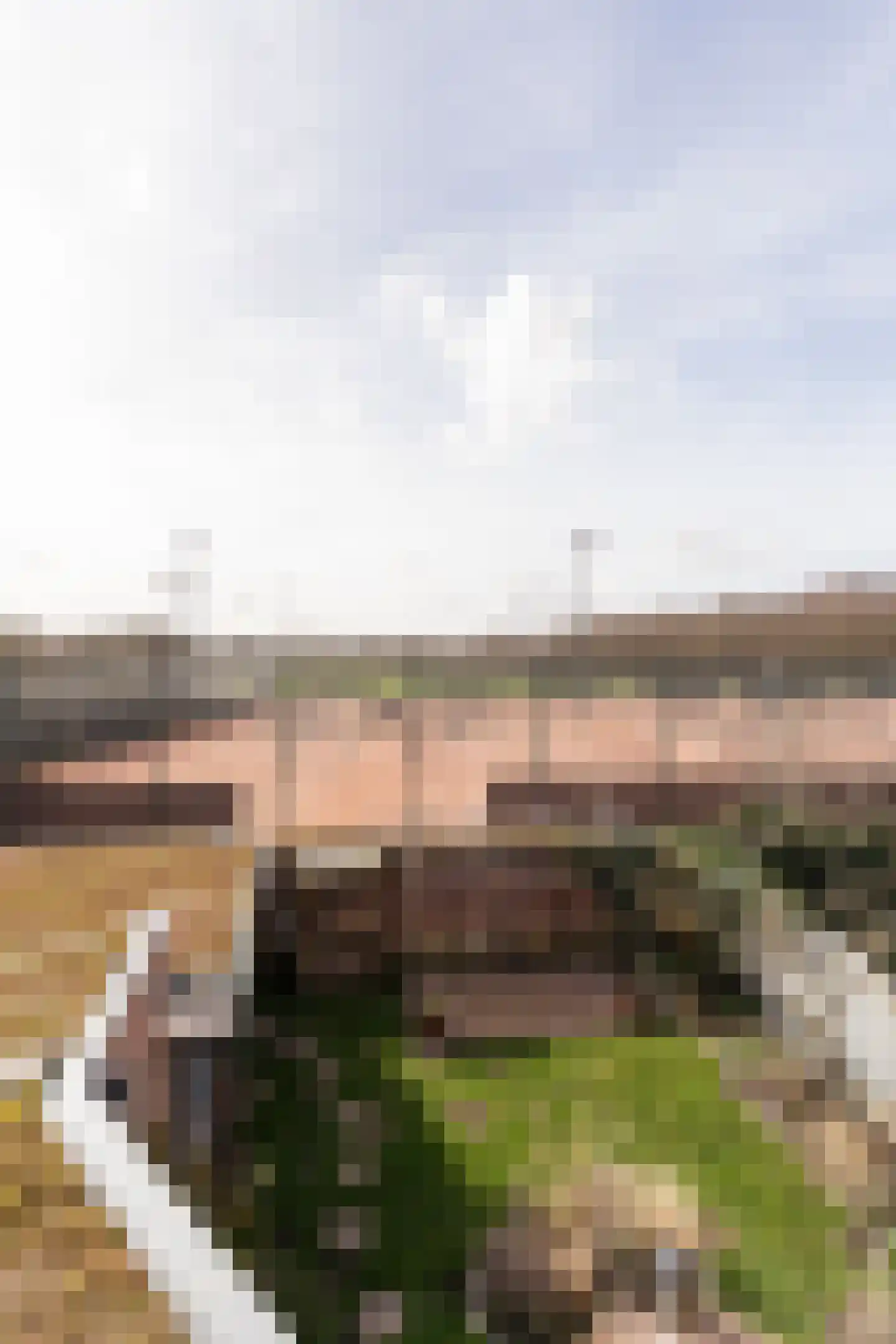 Van Twiskplein 8 Haarlem thumbnail 47