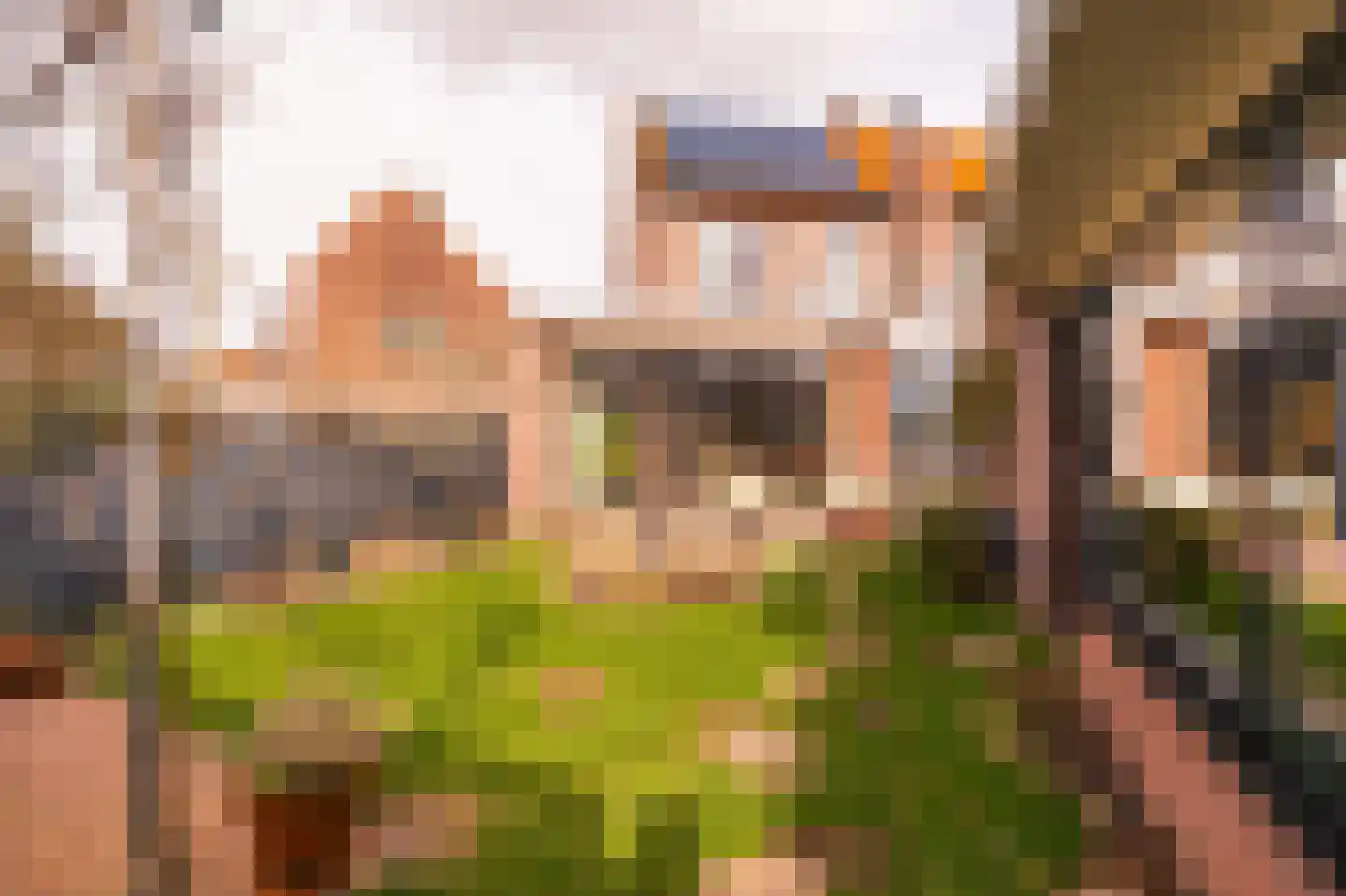 Van Twiskplein 8 Haarlem thumbnail 63