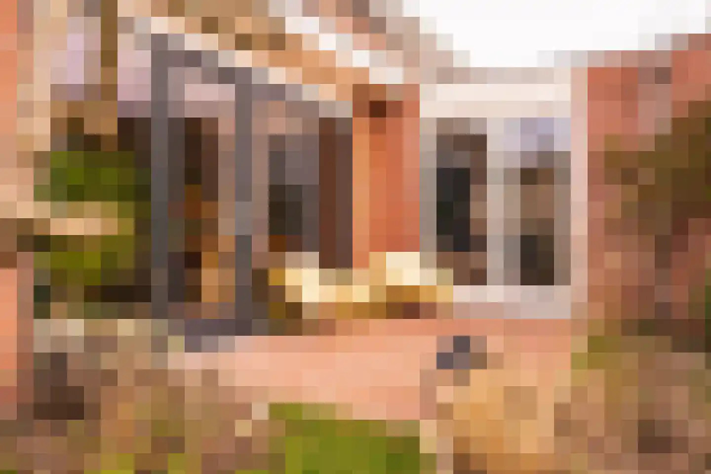 Van Twiskplein 8 Haarlem thumbnail 66