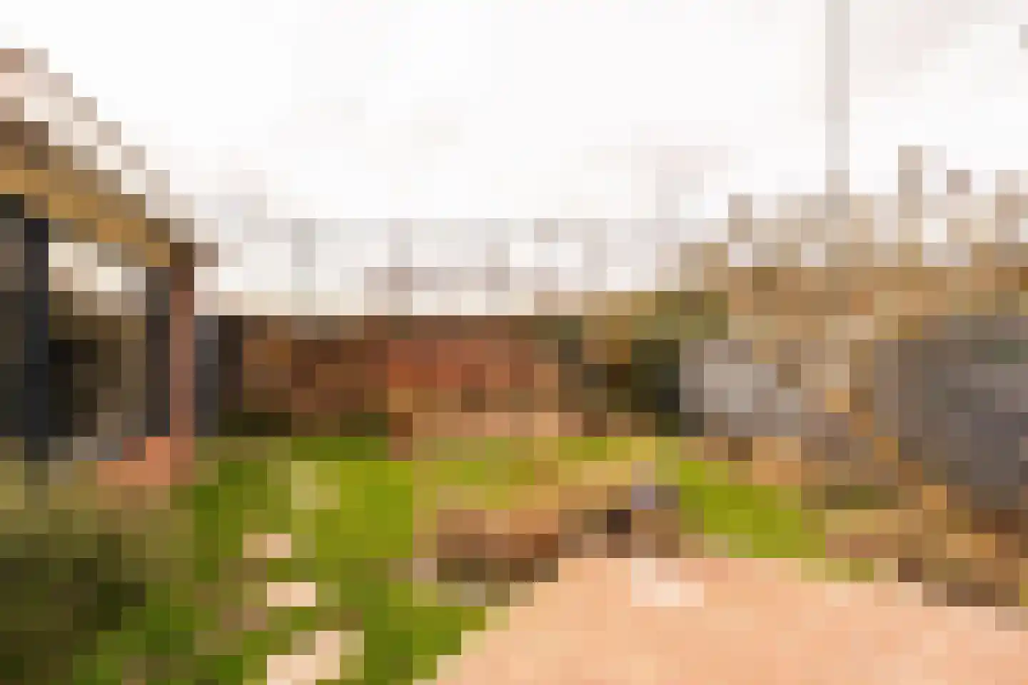 Van Twiskplein 8 Haarlem thumbnail 67