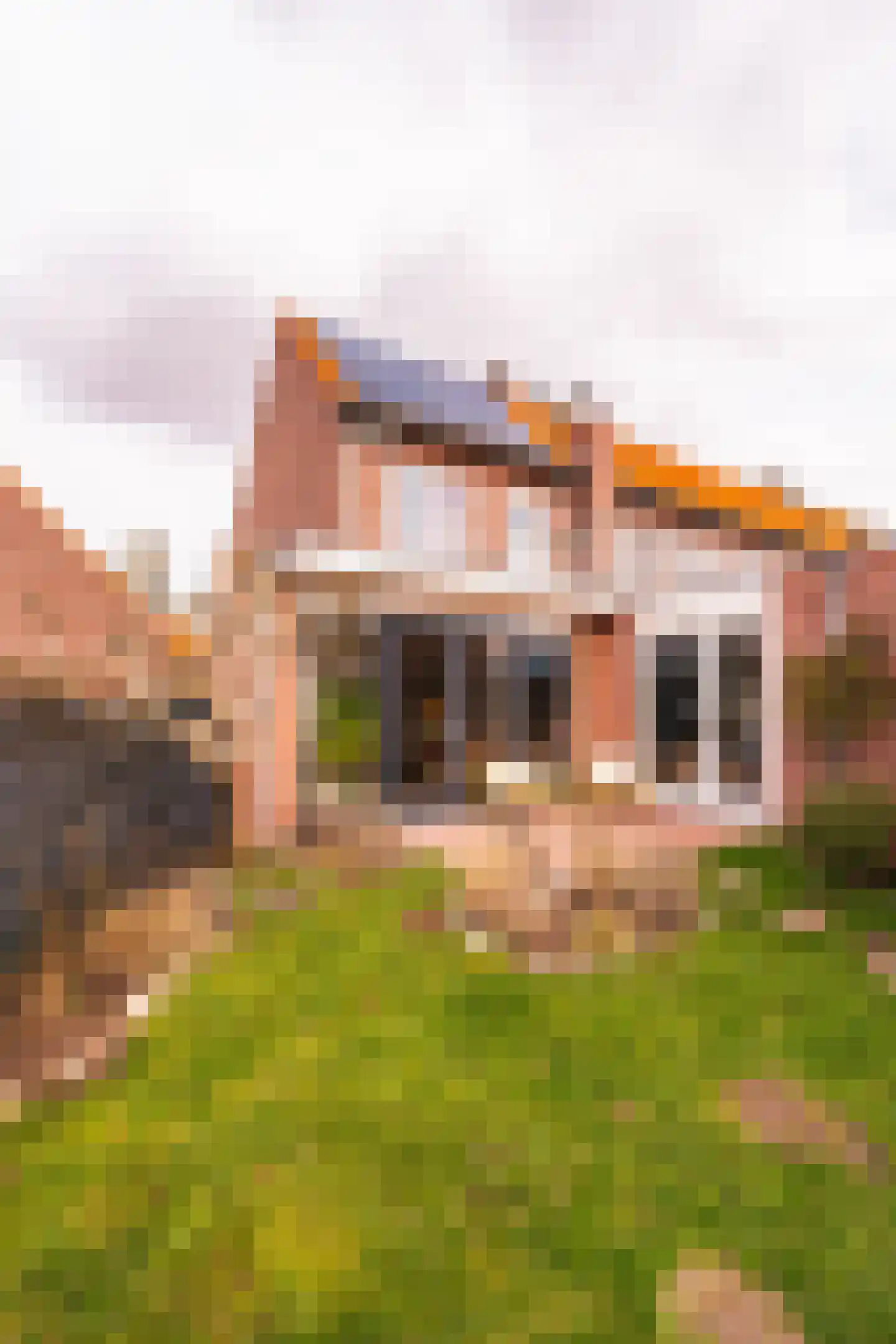 Van Twiskplein 8 Haarlem thumbnail 68