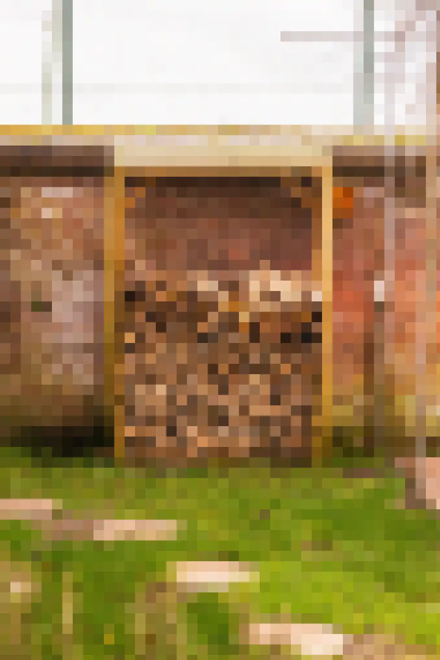 Van Twiskplein 8 Haarlem thumbnail 70