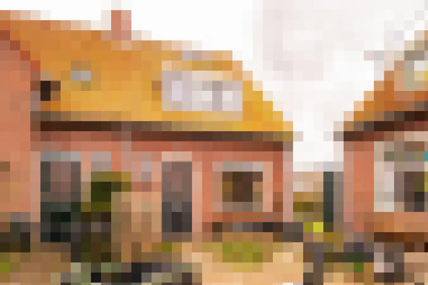 Van Twiskplein 8 Haarlem thumbnail 72