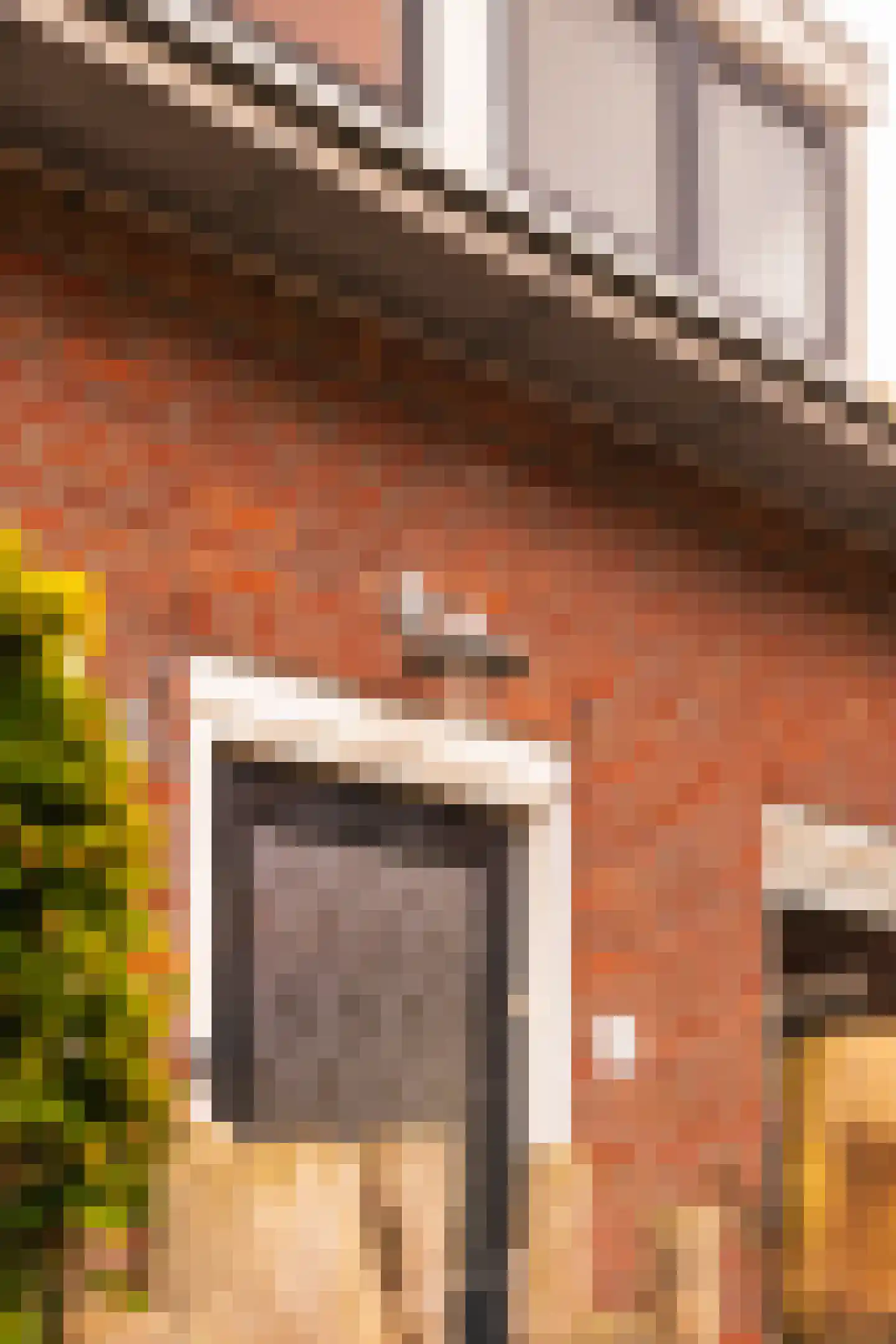 Van Twiskplein 8 Haarlem thumbnail 74