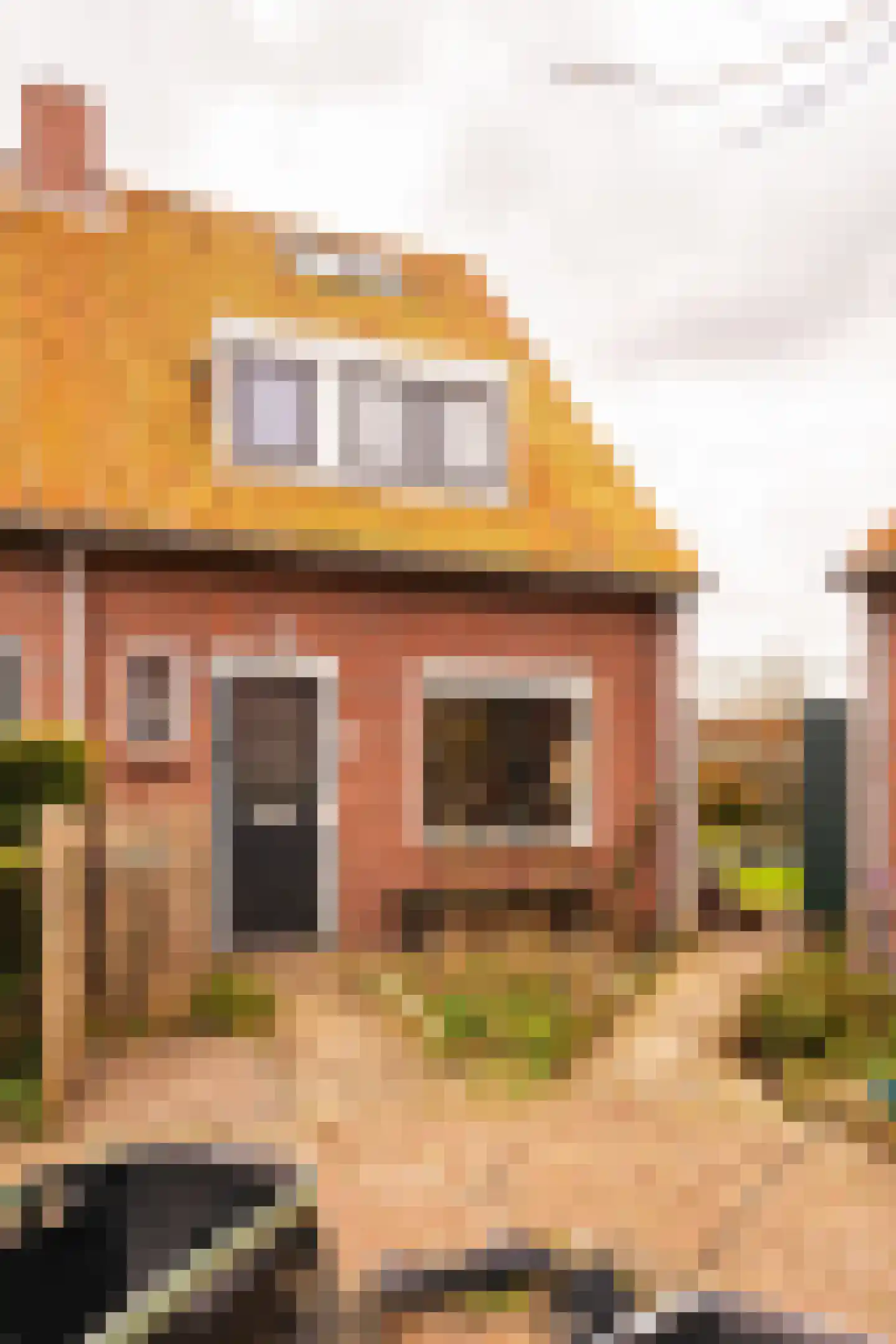 Van Twiskplein 8 Haarlem thumbnail 75