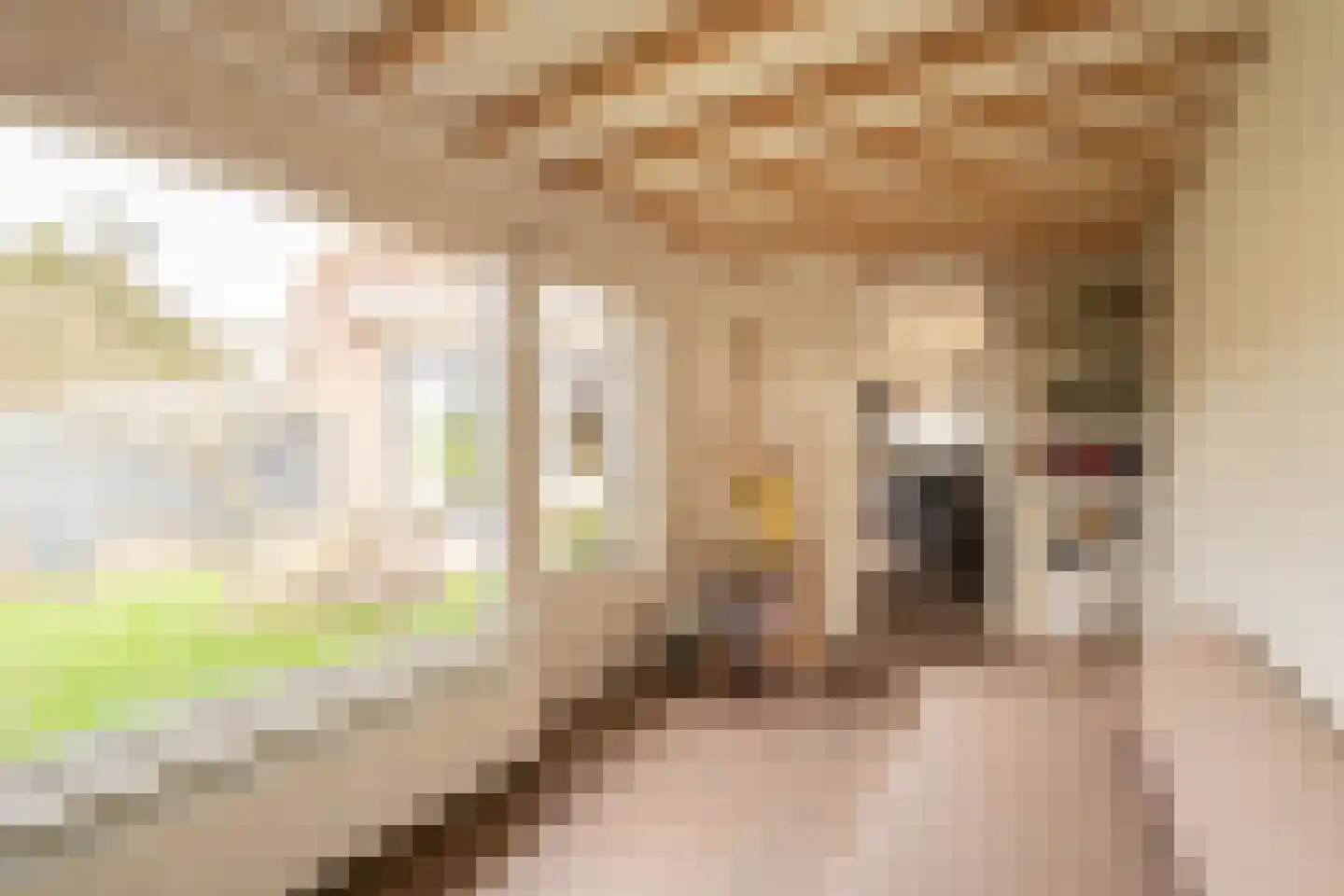 Van Twiskplein 8 Haarlem thumbnail 8