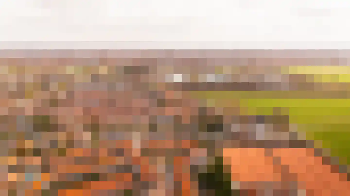 Van Twiskplein 8 Haarlem thumbnail 81
