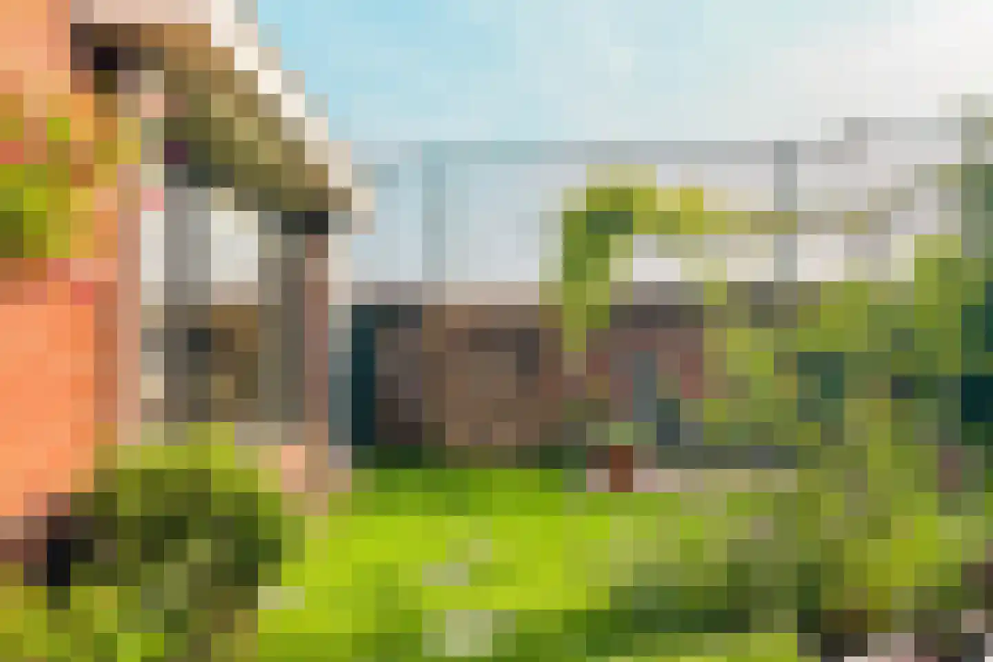 Van Twiskplein 8 Haarlem thumbnail 87