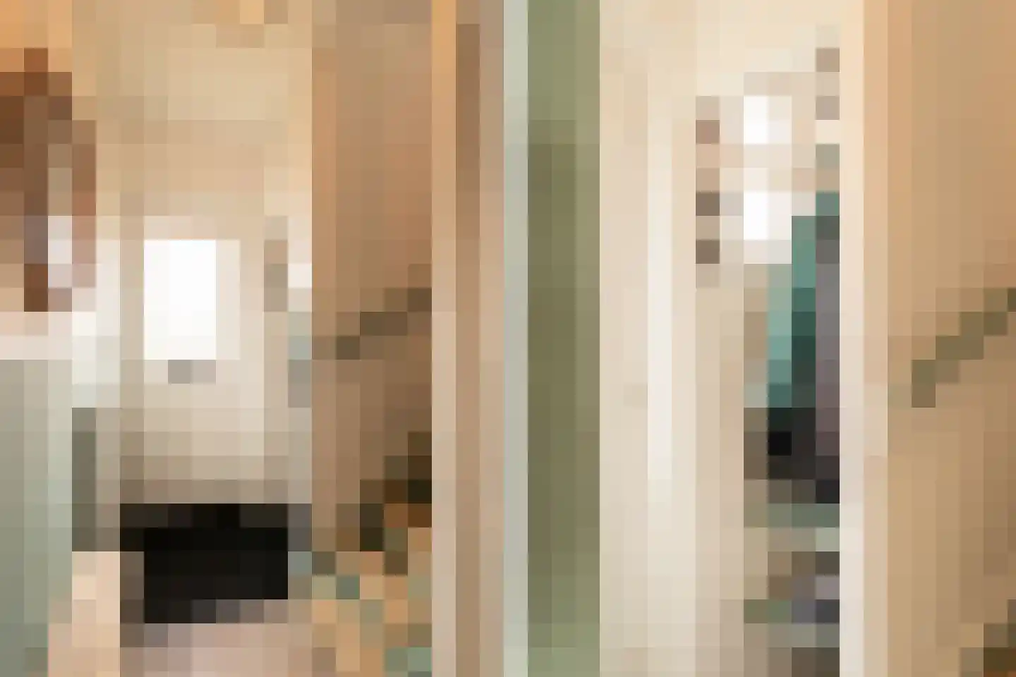 Van Twiskplein 8 Haarlem thumbnail 91