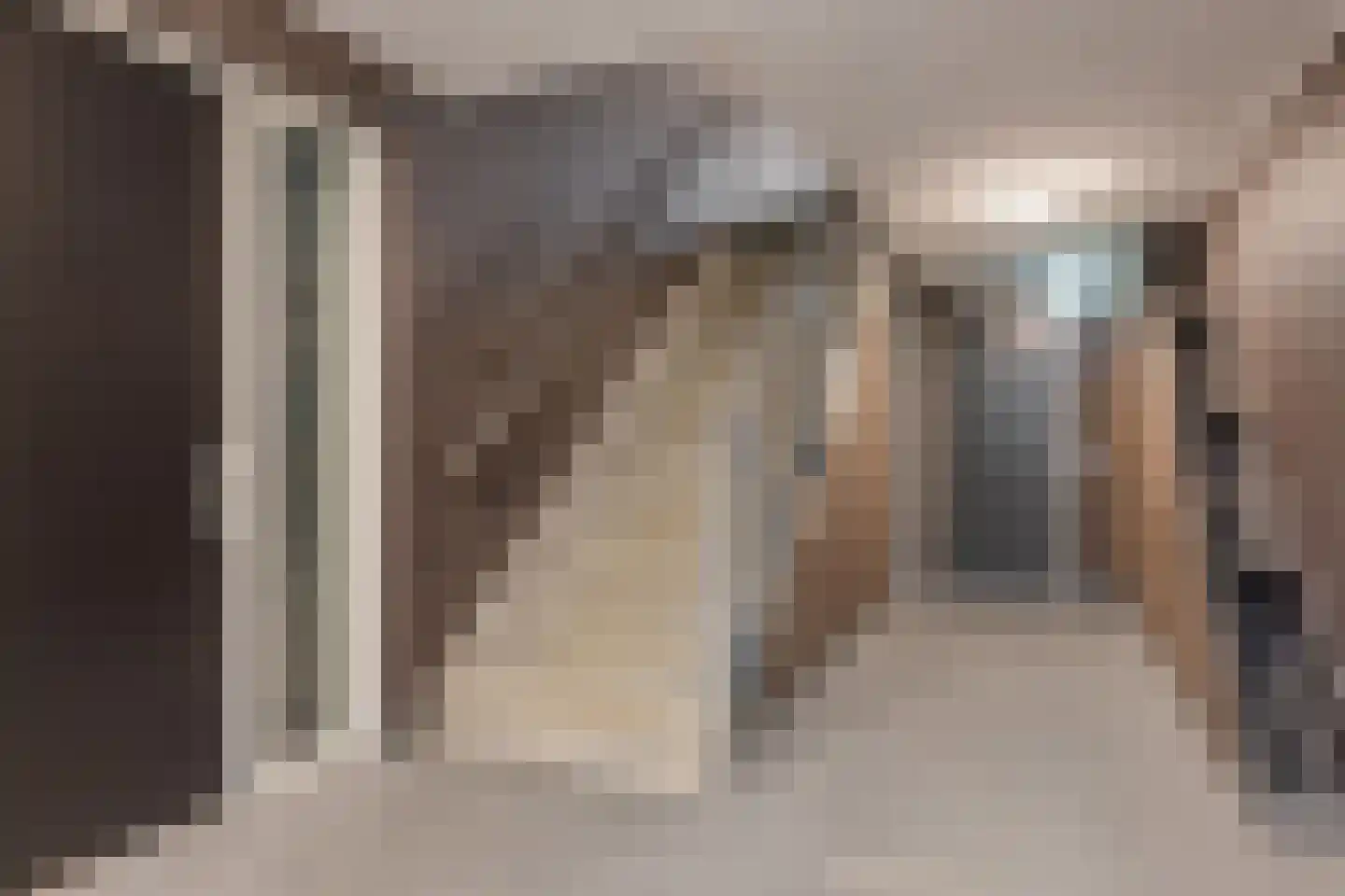 Van Tydencampstraat 4 A Dalfsen thumbnail 22