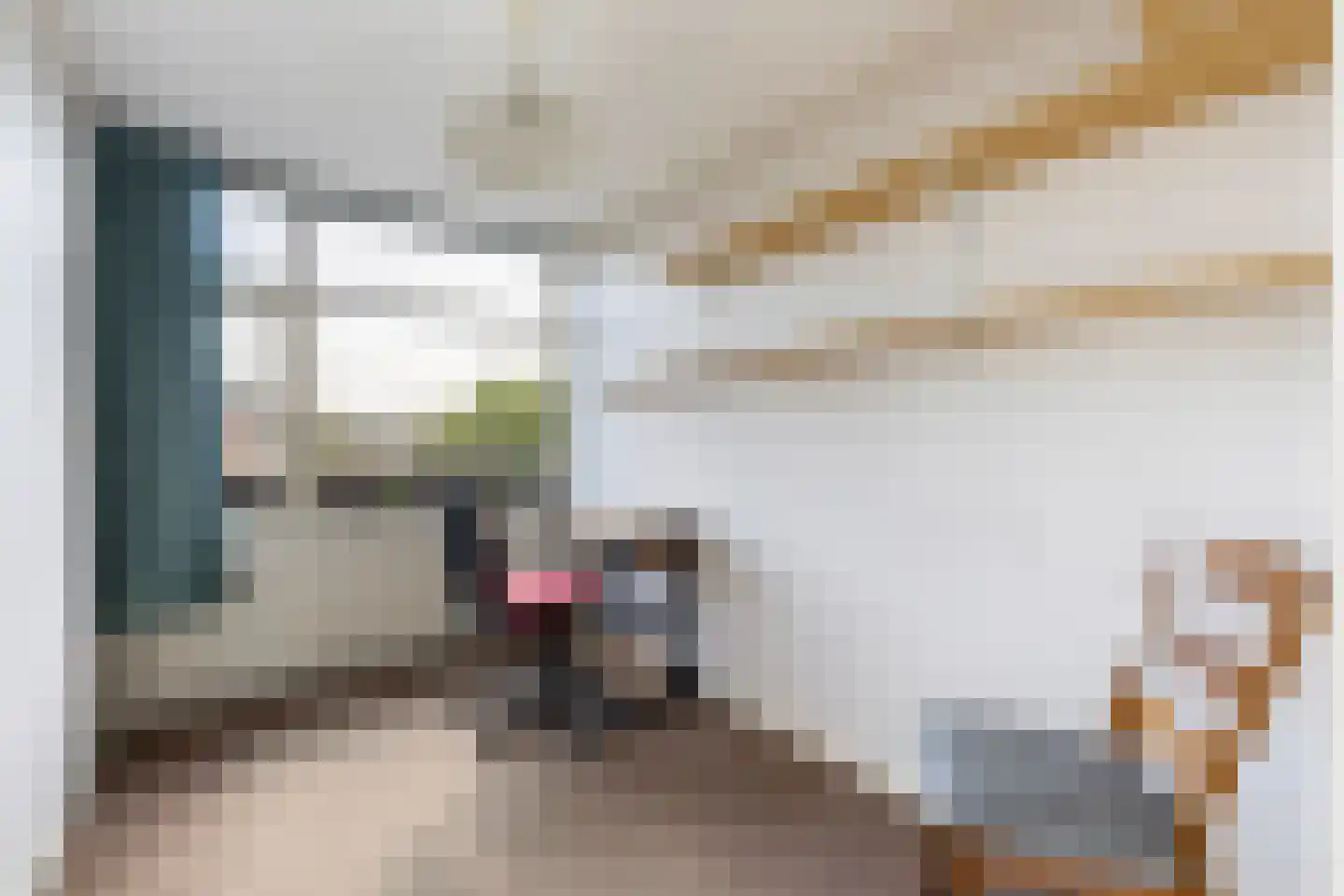Van Tydencampstraat 9 Dalfsen thumbnail 21