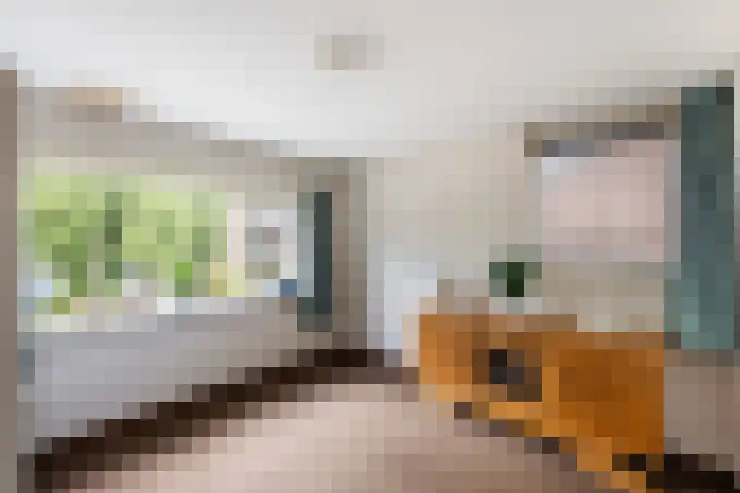 Van Tydencampstraat 9 Dalfsen thumbnail 22