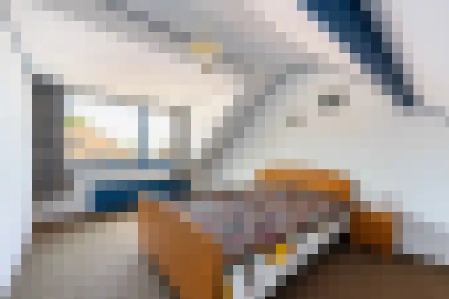 Van Tydencampstraat 9 Dalfsen thumbnail 25