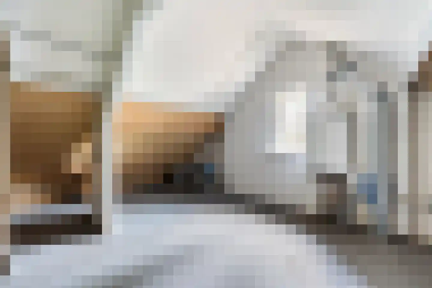 Van Tydencampstraat 9 Dalfsen thumbnail 27