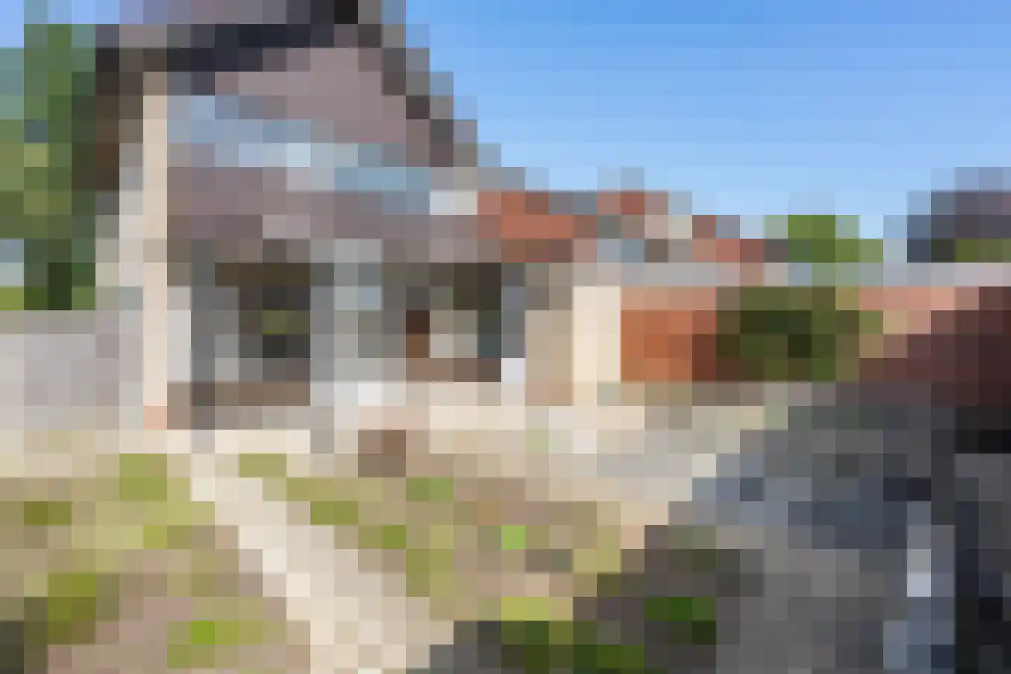 Van Tydencampstraat 9 Dalfsen thumbnail 28