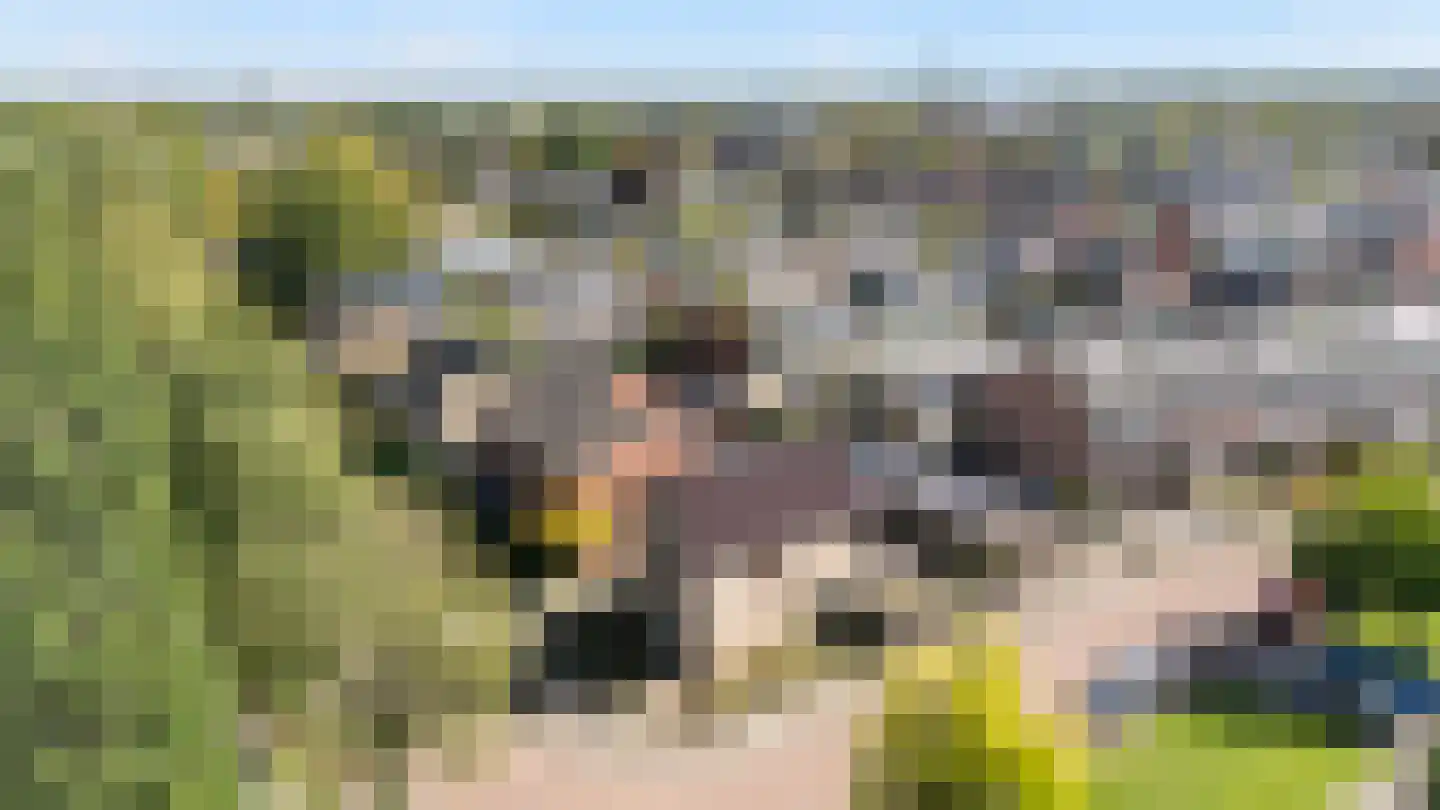 Van Tydencampstraat 9 Dalfsen thumbnail 32