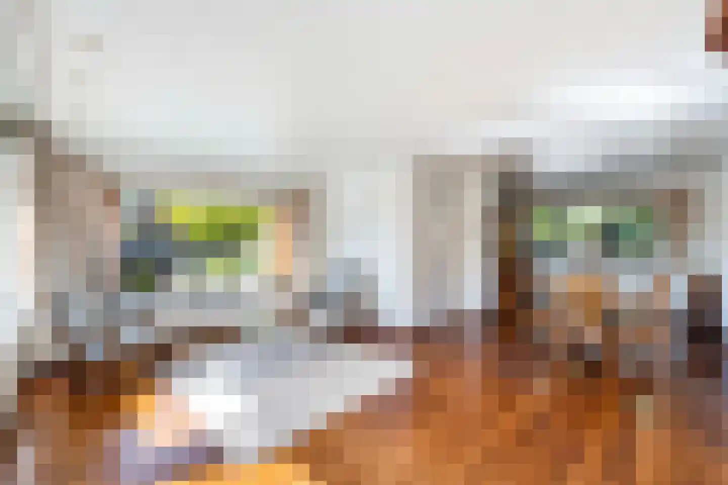 Van Tydencampstraat 9 Dalfsen thumbnail 9