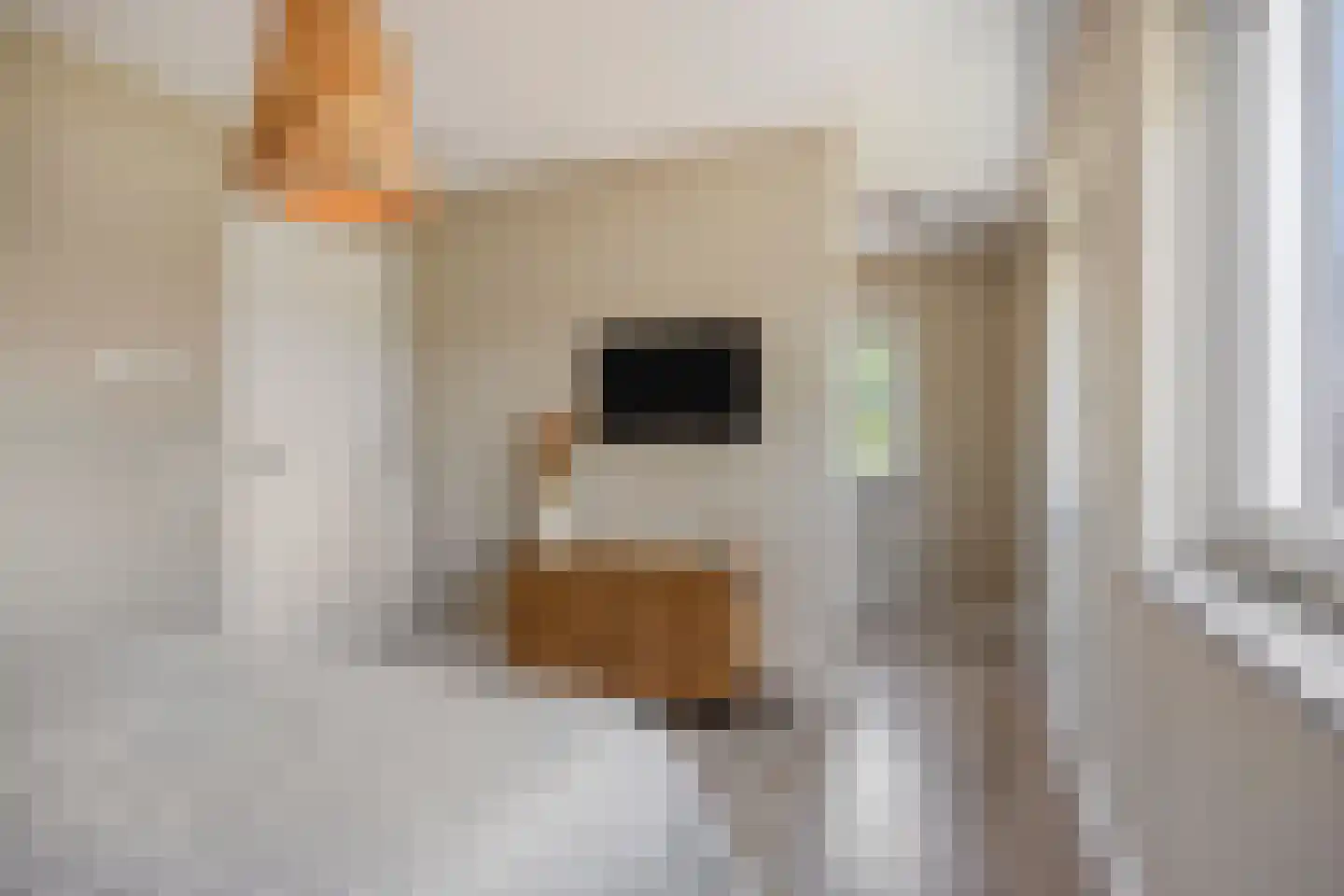 Van Uden-erf 2 Heesch thumbnail 31