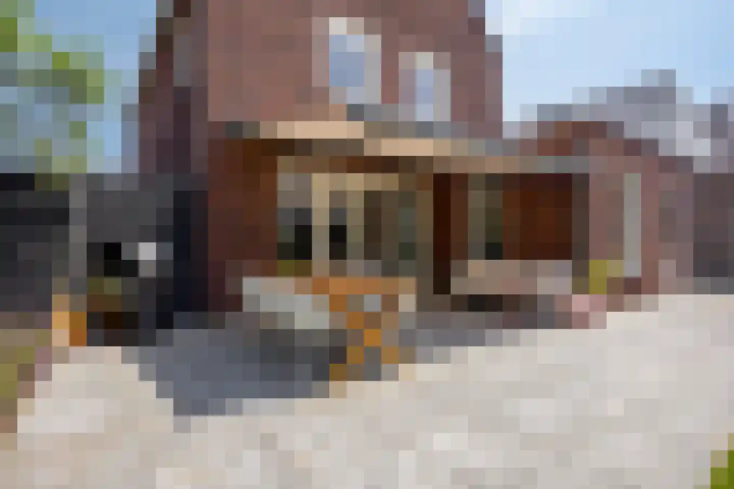 Van Uden-erf 2 Heesch thumbnail 50