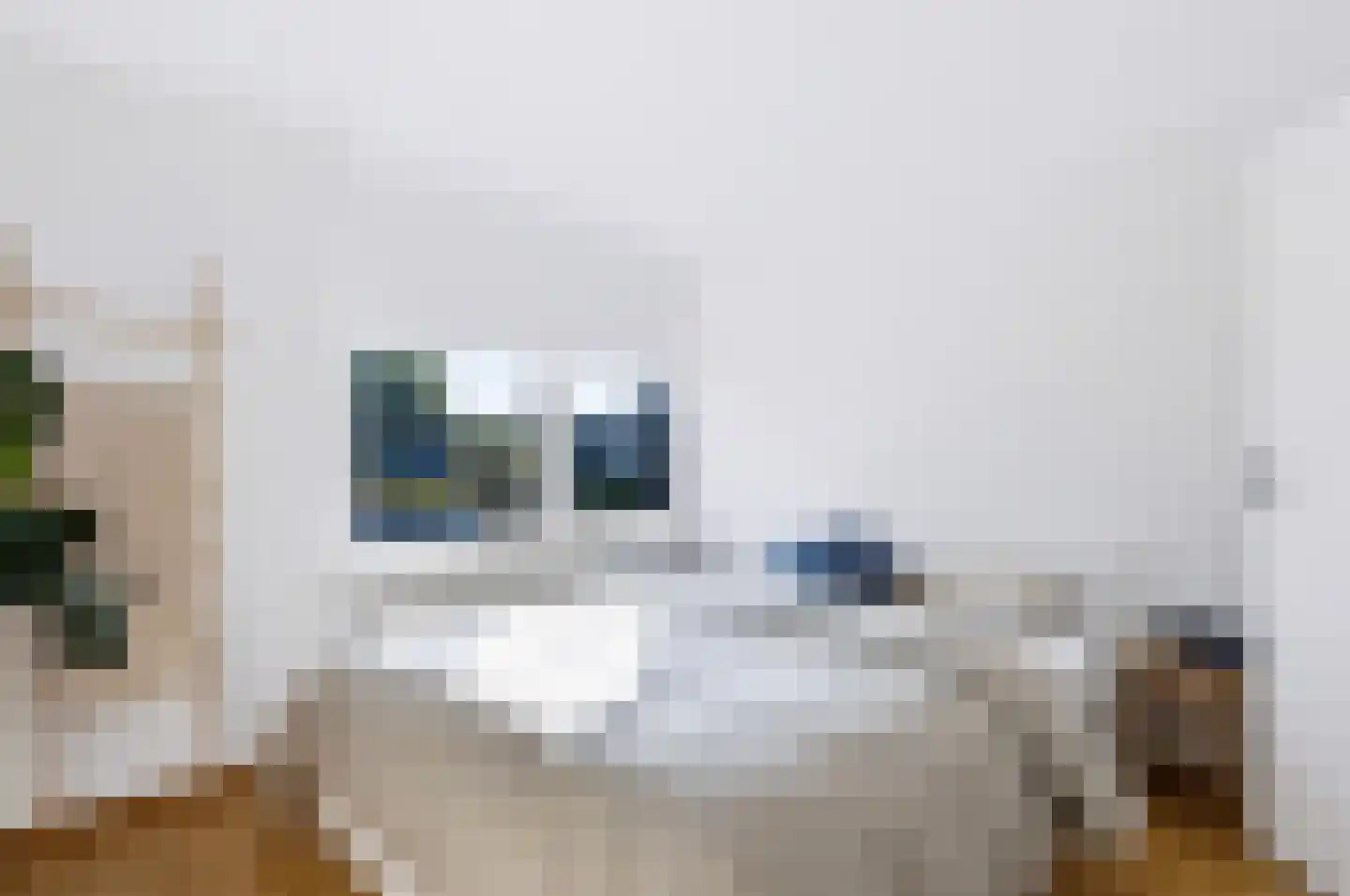 Van Utenhoveweg 10 Geldermalsen thumbnail 18