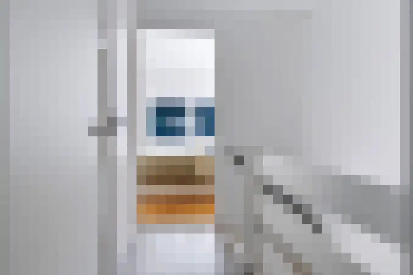 Van Utenhoveweg 10 Geldermalsen thumbnail 20