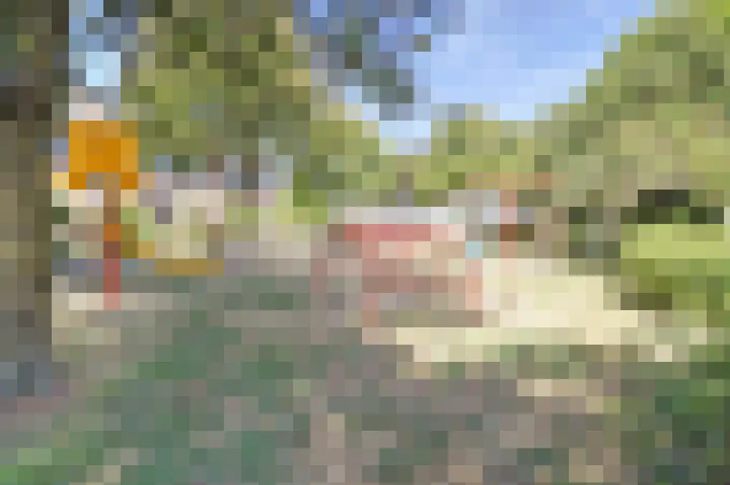 Van Utenhoveweg 102 Geldermalsen thumbnail 33