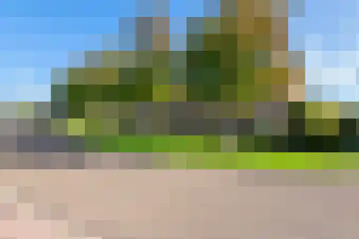 Van Utenhoveweg 116 Geldermalsen thumbnail 5