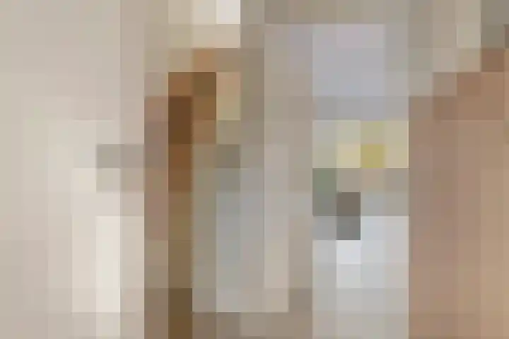 Van Utenhoveweg 32 Geldermalsen thumbnail 12