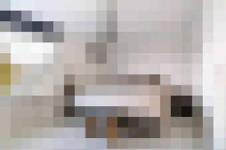 Van Utenhoveweg 32 Geldermalsen thumbnail 14