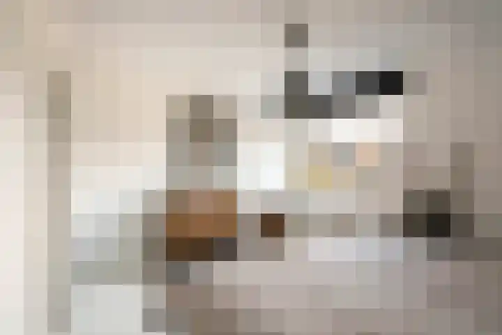 Van Utenhoveweg 32 Geldermalsen thumbnail 15