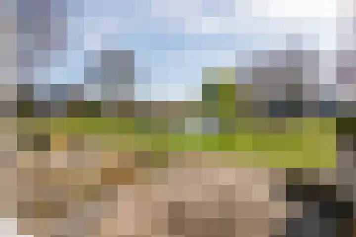 Van Utenhoveweg 32 Geldermalsen thumbnail 26